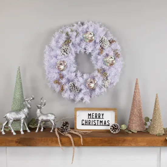 Northlight Icy White Iridescent Spruce Artificial Christmas Wreath, 24-Inch, Unlit {4}