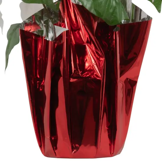 Northlight Artificial Christmas Poinsettia with Wrapped Base - 14.5" - White and Red {6}