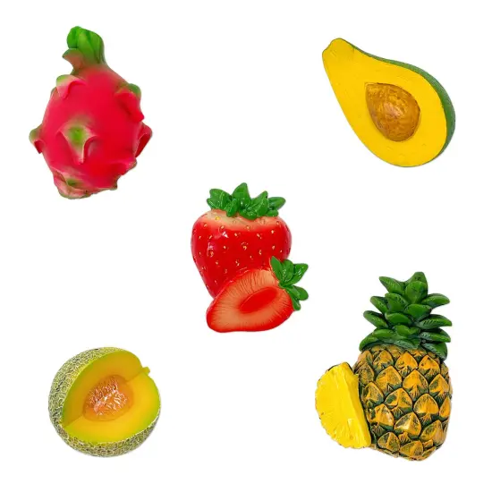 Wrapables 3D Resin Fridge Magnets, Food Simulation, Succulents, Famous Faces Refrigerator Magnets for Kitchen (Set of 5) Fruits {1}