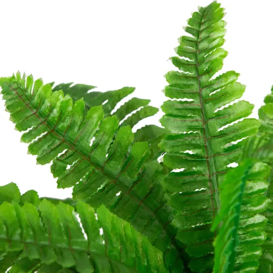 Northlight Boston Fern Artificial Potted Plant - 24" Green {7}