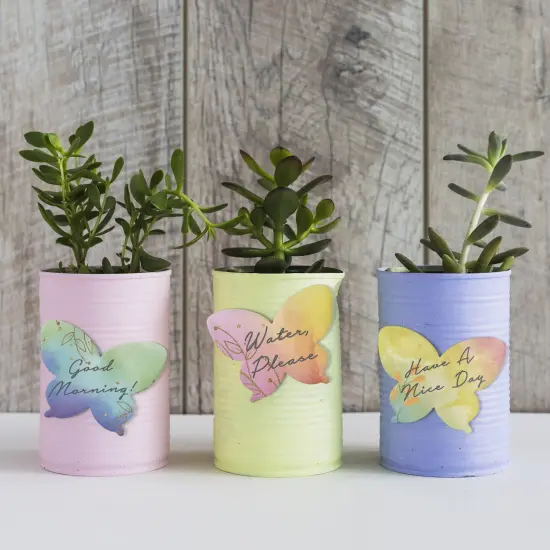 Wrapables Colorful Ethereal Butterfly Sticky Notes (Set of 12) {6}