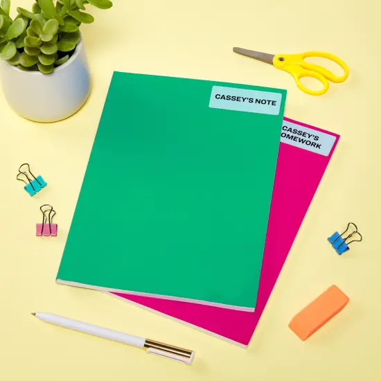 Avery Neon Address Labels with Sure Feed for Laser Printers, 1" x 2 5/8", 750 Pastel Blue Labels (5980) {6}