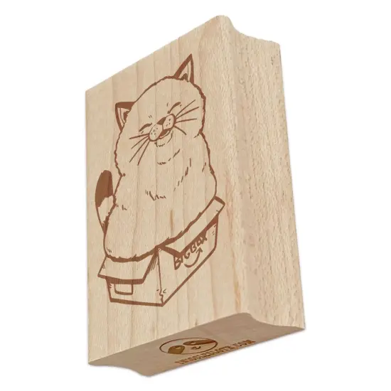 Chubby Happy Cat Sitting in Box Rectangle Rubber Stamp for Stamping Crafting {7}