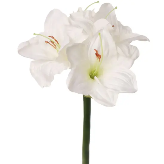 Set of 12 Elegant 26" White Amaryllis Flowers - Artificial Indoor/Outdoor Floral Decor for Home, Office, and Special Events {1}