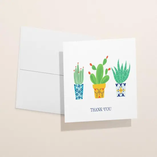 Succulent Thank You Card Set | All-Occasion Assorted Thank You Notes With Envelopes | 12, 24, 48, 96 {3}