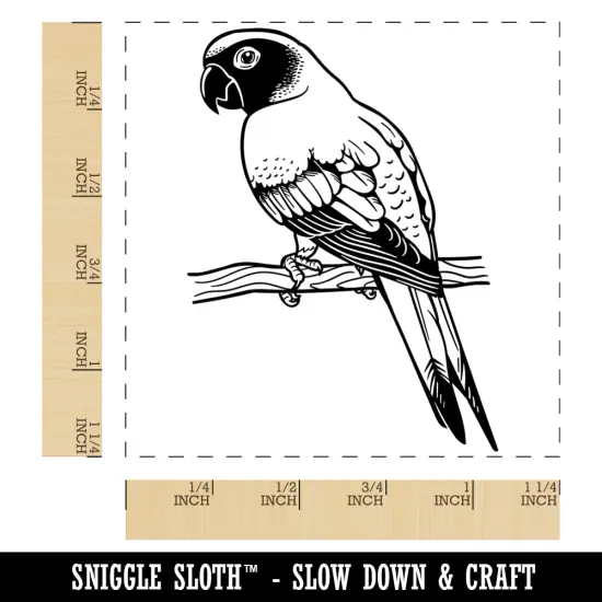 Sun Conure Parrot on a Branch Square Rubber Stamp for Stamping Crafting {1}