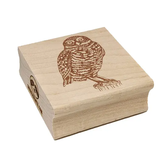 Watchful Burrowing Owl Square Rubber Stamp for Stamping Crafting {7}