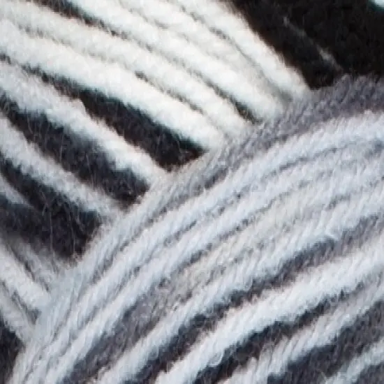 Multipack of 24 - Red Heart Super Saver Yarn-Zebra {2}