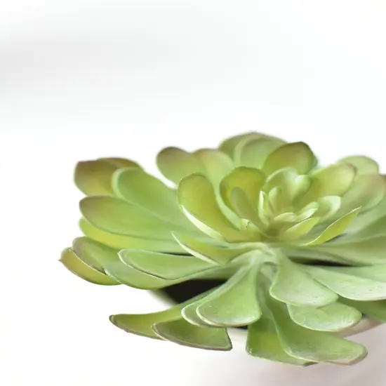 6" Faux Soft Aeonium Succulent Pick {4}