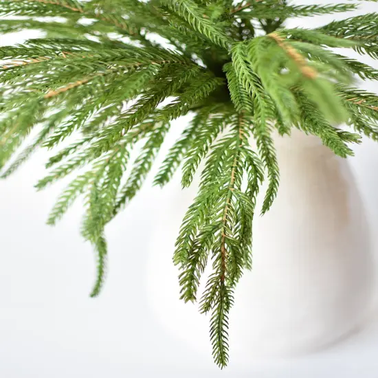 20" Faux Green Norfolk Pine Bush {5}