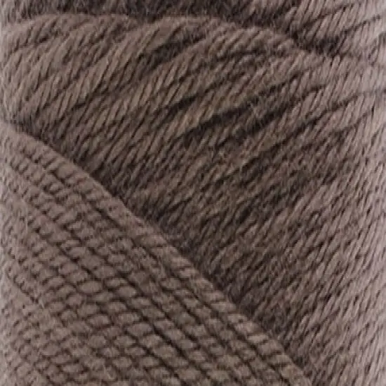Caron Simply Soft Taupe Yarn3 Pack of 170g/6ozAcrylic4 Medium (Worsted) - 315 YardsKnitting/Crochet {3}