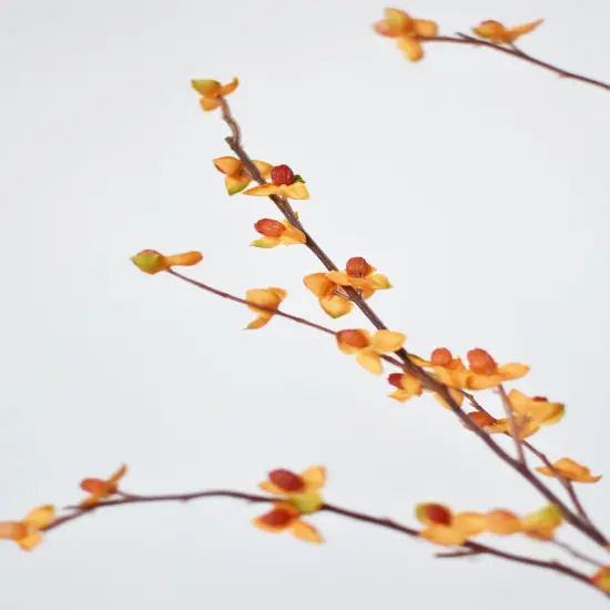 32" Faux Bittersweet Stem {6}