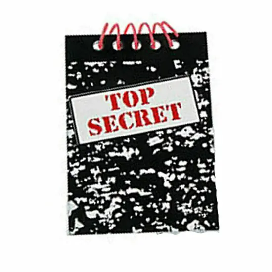 Fun Express Top Secret Notebook (Set of 24 Note Pads) Party Supplies {1}