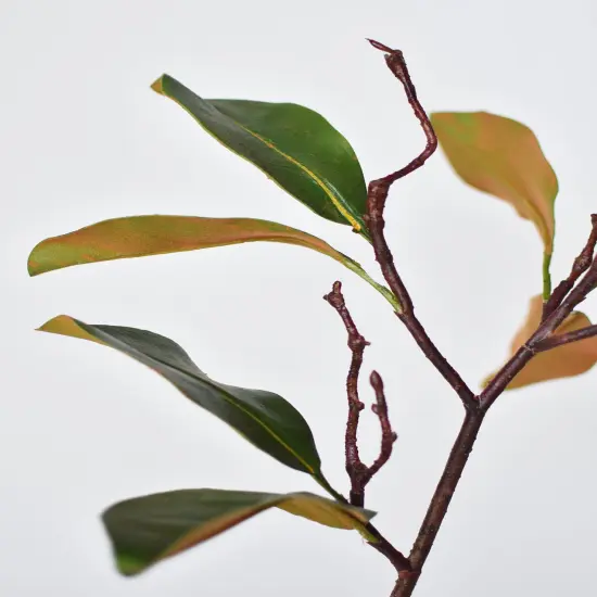 26" magnolia leaf branch {4}