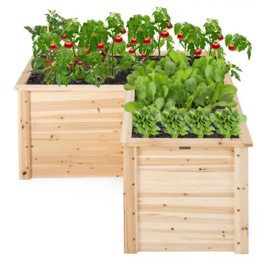 24 Inch L-Shaped Wooden Raised Garden Bed with Open-Ended Base-Natural {5}
