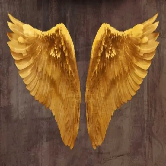 Angel Wings Poster Print by Joannoo - Item # VARPDX4JO3982 {1}