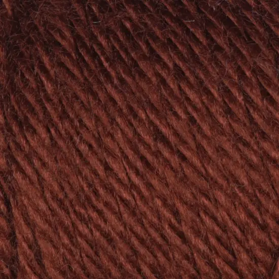 (Pack of 2) Caron Simply Soft Solids Yarn-Chocolate {2}