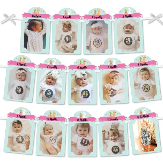 Big Dot of Happiness 1st Birthday Whole Llama Fun - DIY Llama Fiesta First Birthday Party Decor - 1-12 Monthly Picture Display - Photo Banner {1}