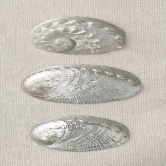 Opalescent II Poster Print by Assaf Frank - Item # VARPDX16351 {1}