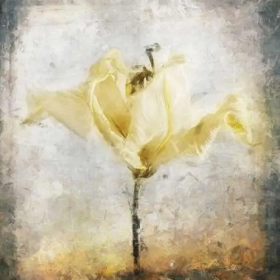 Sepia Bloom II Poster Print by John Bingham {2}