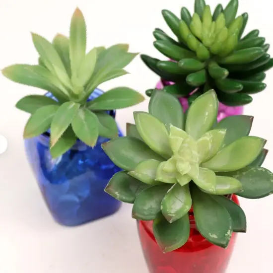 Stylish Hassle-Free 5.5" Artificial Succulent Sedum Plant - Chic Home Decor {3}