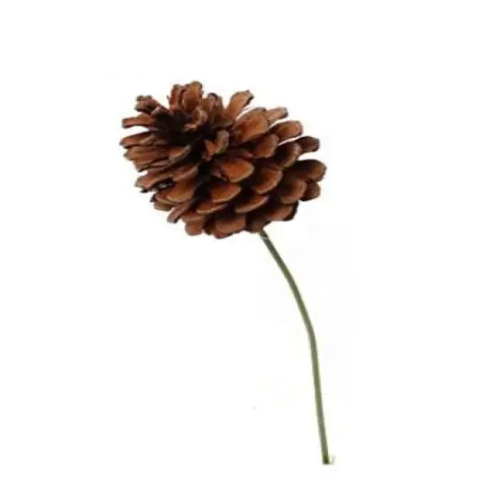 Set of 24: Natural Brown Lacquered Pine Cone Picks | 2.5" Wide | Festive Holiday Accents | Art & Crafts | Trees, Wreaths, & Garlands | Christmas Picks | Home & Office Decor - 2024 Christmas Collection, Floral Home by Artificial Flowers {1}