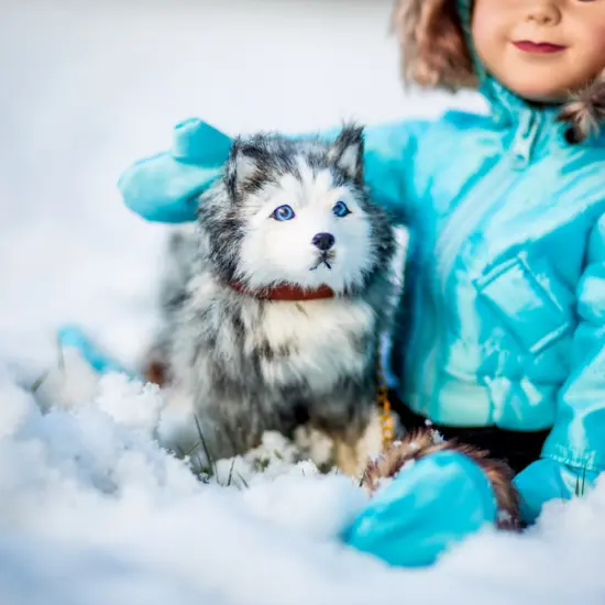 The Queen's Treasures 18 In Doll 13 Pc Ski Clothes and Dog {7}