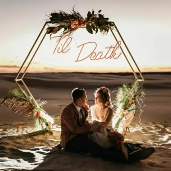 Hexagon Metal Wedding Arch Frame Garden Arbor Flowers Balloon Backdrop Stand {4}