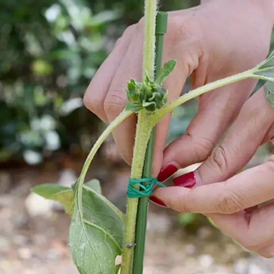 328FT Green Twist Tie Wire Roll with Cutter for Kitchen, Gardening, and Plants {5}