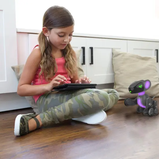 Pyxel The Coding Pet {3}