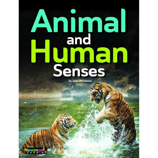 STEM Learning Library Grade 4 Collection {2}