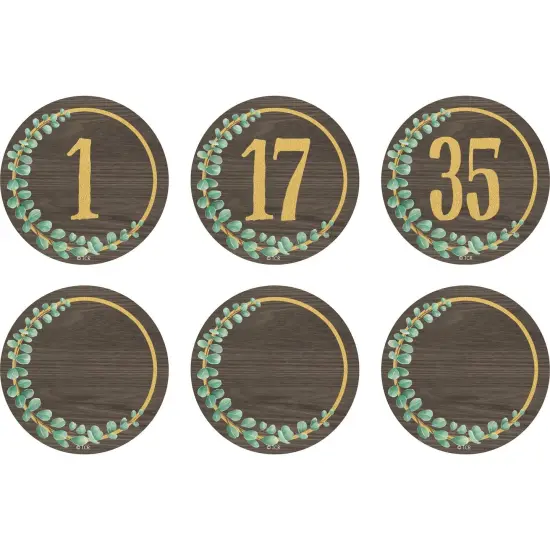 Eucalyptus Numbers Magnetic Accents, 2-1/4", 42 Per Pack, 3 Packs {1}