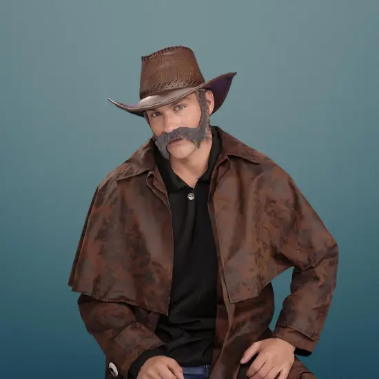 Civil War General Grey Moustache & Beard Costume Set {3}