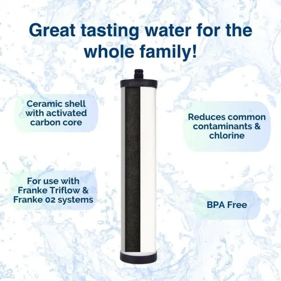 Doulton W9223021 UltraCarb Ceramic Water Filter Candle, White, Pack of 2 {5}