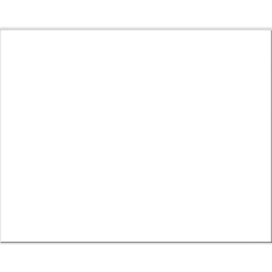 4-Ply Railroad Board, White, 22" x 28", 100 Sheets {1}