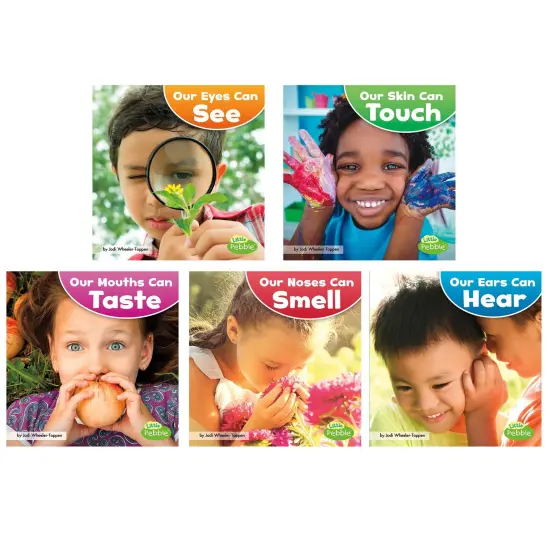 Our Amazing Senses, Set of 5 books {1}
