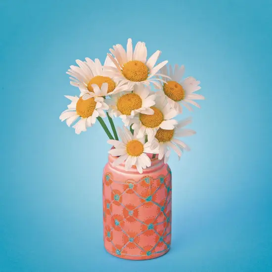 Color-Me&trade; Ceramic Bisque Mason Jar (Pack of 12) {4}