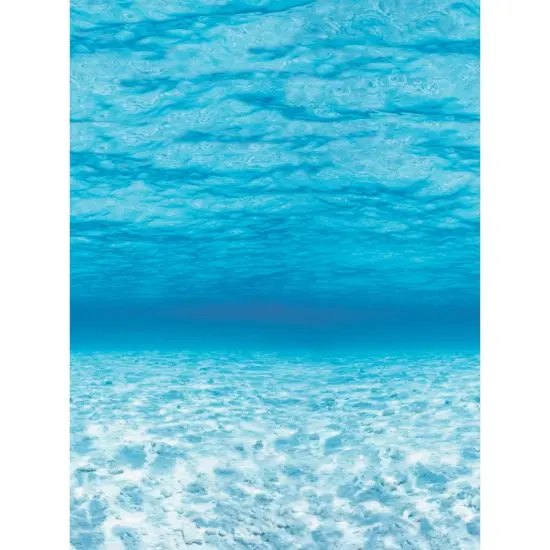 Bulletin Board Art Paper, Under The Sea, 48" x 12', 4 Rolls {1}