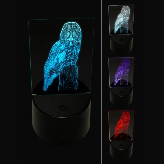 Wise Great Gray Owl 3D Illusion LED Night Light Sign Nightstand Desk Lamp {1}