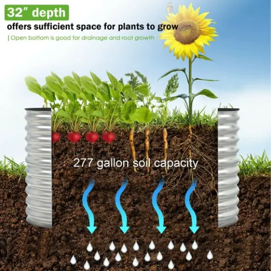 Raised Garden Bed with Open Base for Growing Vegetables {3}