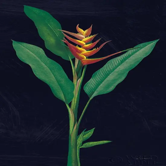 Dramatic Tropical IV Poster Print by Sue Schlabach - Item # VARPDX50356 {1}