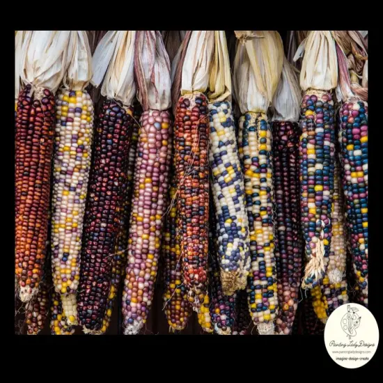Indian Corn - Art paper for Decoupage and Mixed Media by Painting Lady Designs (Small 12x18) {2}