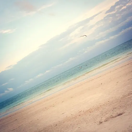 Ocean Angle Poster Print by Emily Navas - Item # VARPDX12310 {1}