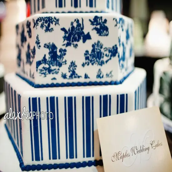 Toile Cake Stencil Side | C464 by Designer Stencils | Cake Decorating Tools | Baking Stencils for Royal Icing, Airbrush, Dusting Powder | Reusable Plastic Food Grade Stencil for Cakes | Easy to Use & Clean Cake Stencil {2}