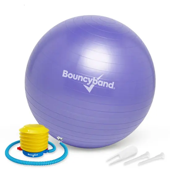 Balance Ball, 65cm, Purple {2}