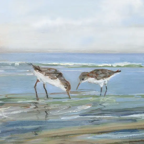 Seabird Beach II by Sally Swatland - Item # VARPDX44067 {1}