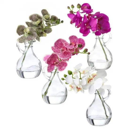 Phaleanopsis in Glass W Handle 9" {1}