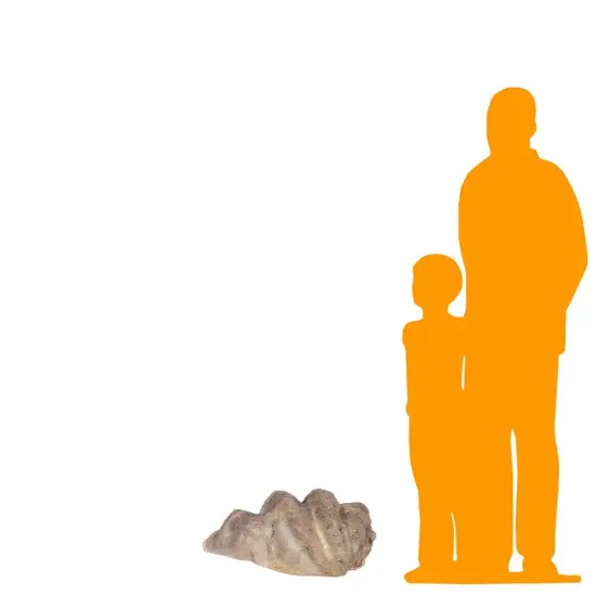 Clam Sea Shell Life Size Statue {2}