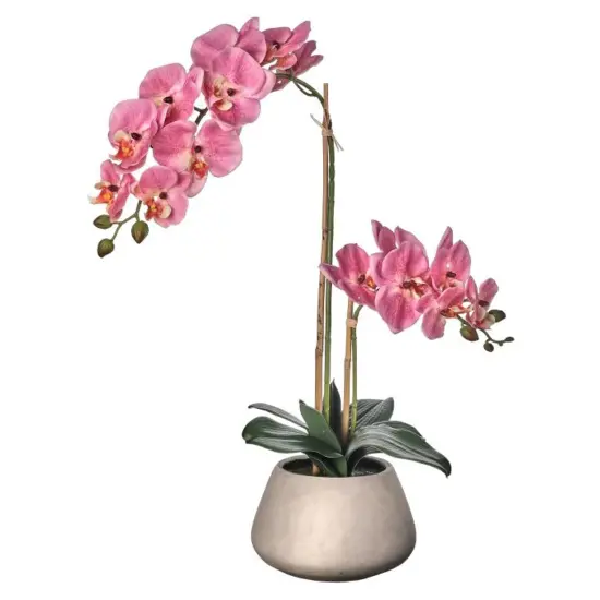 Real Touch Phalaenopsis Orchid in Cement Pot 24" White {3}