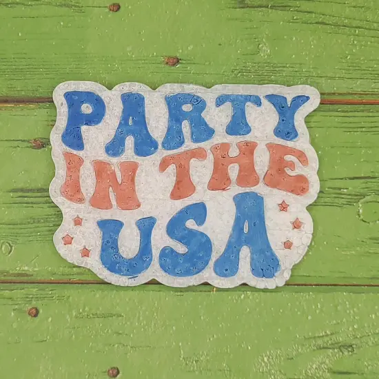 Party in the USA Silicone Freshie Mold {2}